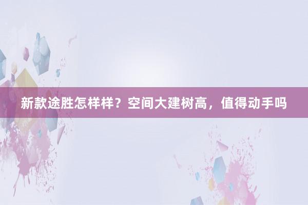 新款途胜怎样样？空间大建树高，值得动手吗