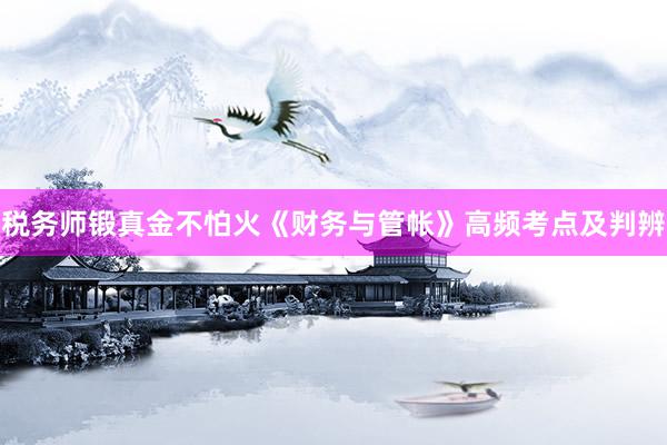 税务师锻真金不怕火《财务与管帐》高频考点及判辨