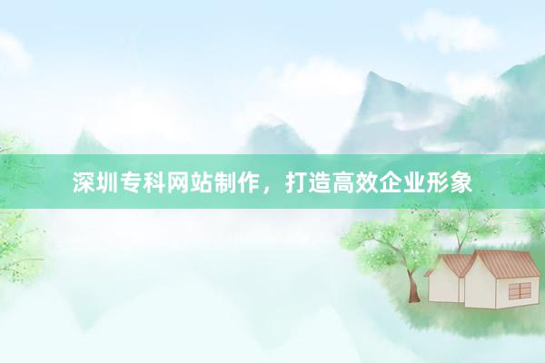 深圳专科网站制作，打造高效企业形象