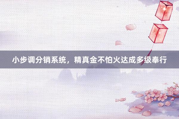 小步调分销系统，精真金不怕火达成多级奉行