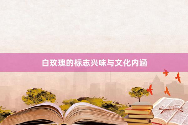 白玫瑰的标志兴味与文化内涵
