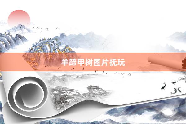羊蹄甲树图片抚玩