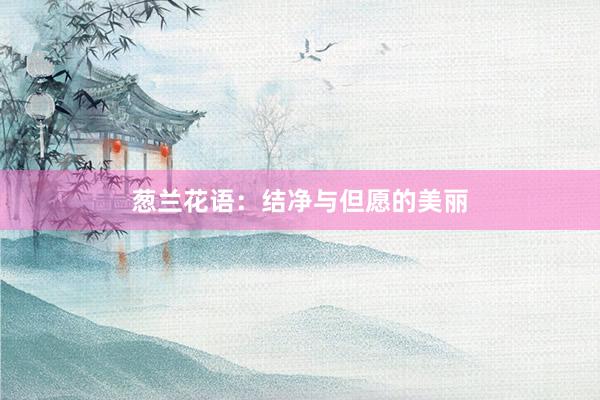 葱兰花语：结净与但愿的美丽